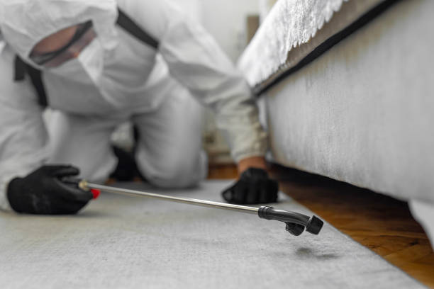 Professional Bed Bug Control technician working in Warren County County, PA